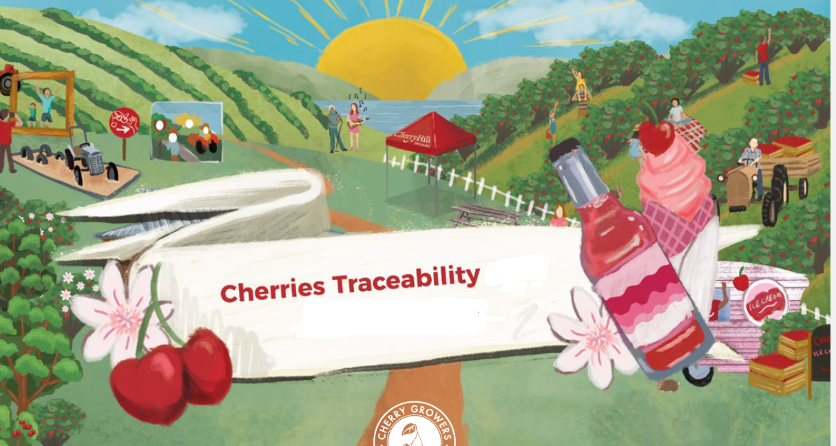 Cherryhill realiseert traceerbaarheid met QR-code van GS1 - Traceerbaarheid Cherries (1)